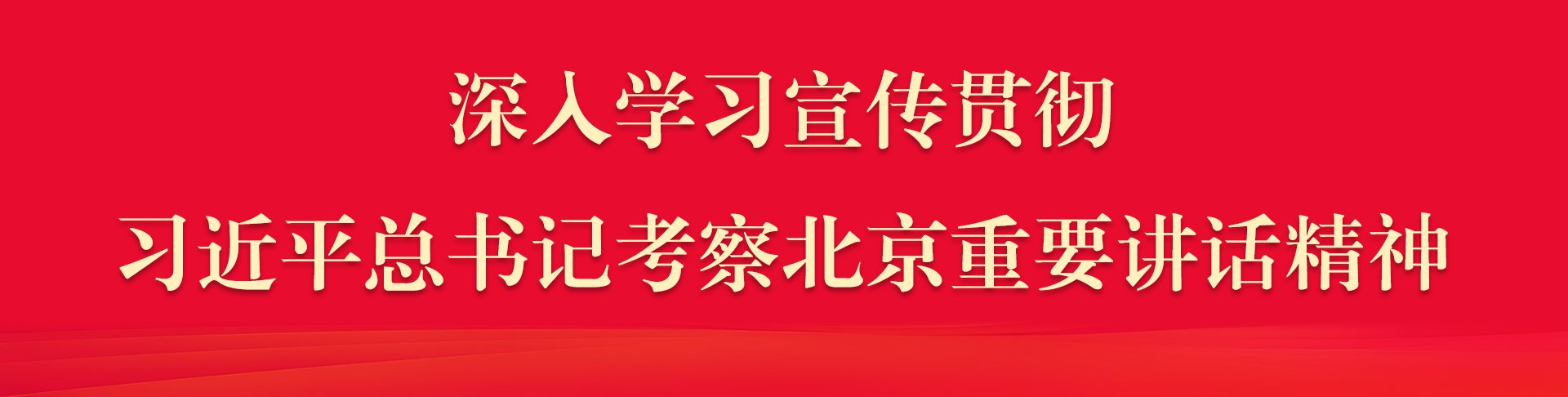为深入学习贯彻党的二十大及二十届历次